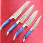 Japanese knife set ZANMAI SEIRYU limited edition - Petty / santoku /gyuto / kiritsuke gyuto