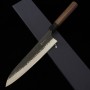 Japanese Chef Gyuto Knife - ANRYU - Aogami Super Serie - Sizes: 21 ...