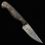 Custom Knife - PROMETHEUS - Thor - Black Claw - wood handle - B