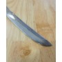 Kiridashi Knife - IKEUCHI - Damascus Carbon Blue Steel - Version 5 - Size: 7cm